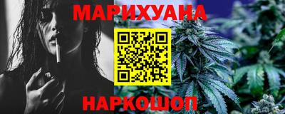 Альфа ПВП Можга
