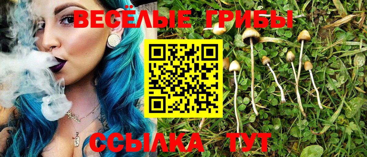 Пятигорск  Галлюциногенные грибы мицелий  Вход с VPN 